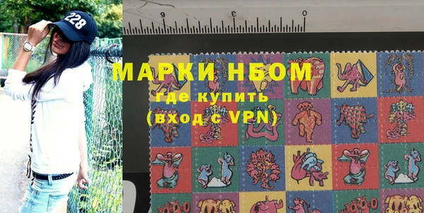 молекула духа Вяземский