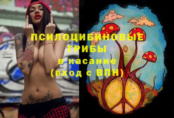 молекула духа Вяземский