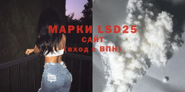 молекула духа Вяземский