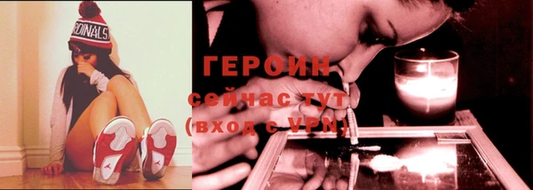 молекула духа Вяземский