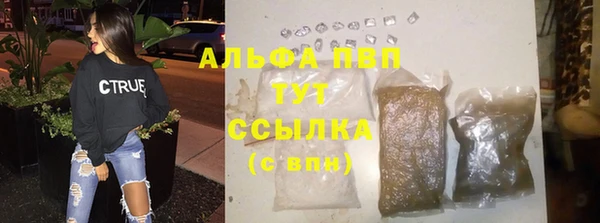 молекула духа Вяземский