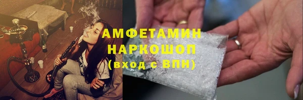 молекула духа Вяземский