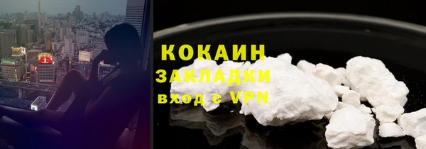 молекула духа Вяземский