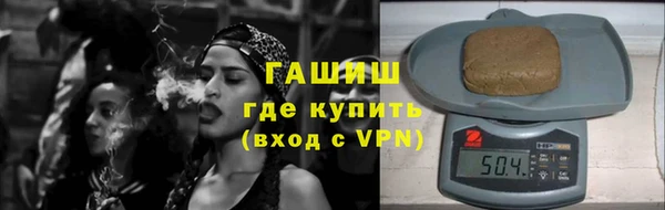 молекула духа Вяземский