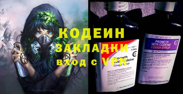 молекула духа Вяземский