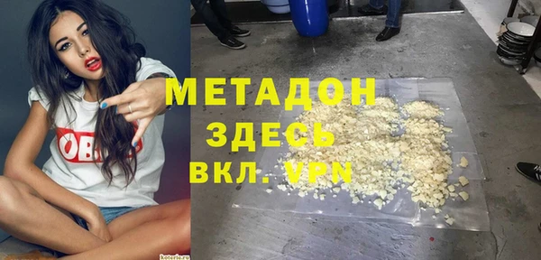молекула духа Вяземский