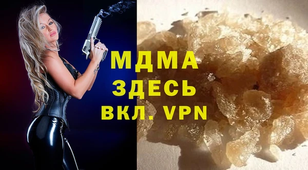 молекула духа Вяземский