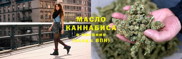 молекула духа Вяземский