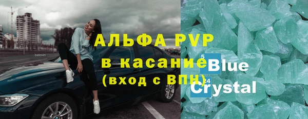 молекула духа Вяземский