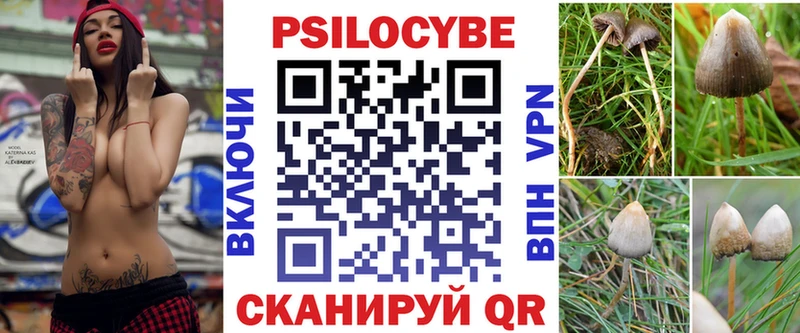 Псилоцибиновые грибы Psilocybe  купить закладку  Игра 
